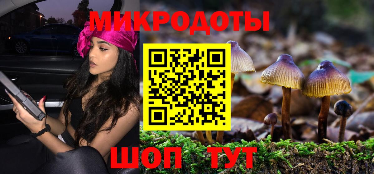 купить наркотики цена  Вход с VPN  Волоколамск  Псилоцибиновые грибы MAGIC MUSHROOMS 